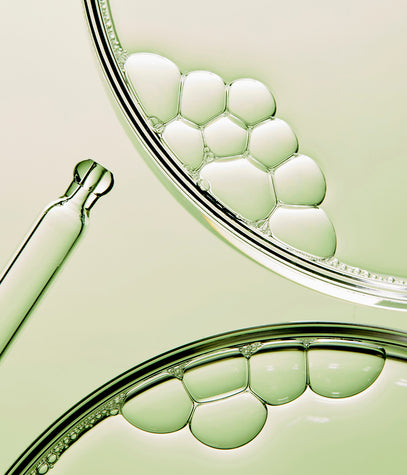 Bio Phyto como funciona