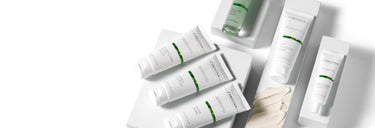 Bio Phyto